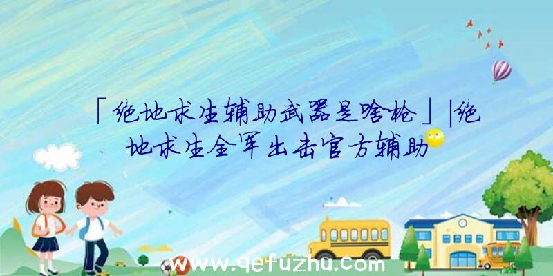 「绝地求生辅助武器是啥枪」|绝地求生全军出击官方辅助